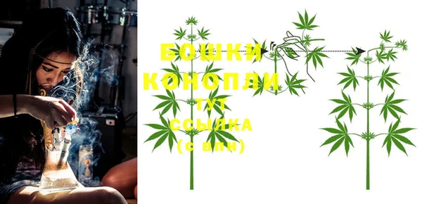 ALPHA PVP Богородск