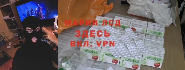 прущие грибы Белоозёрский