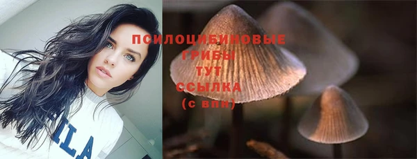mdma Богданович