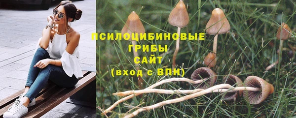 mdma Богданович