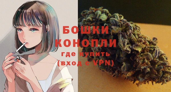 прущие грибы Белоозёрский