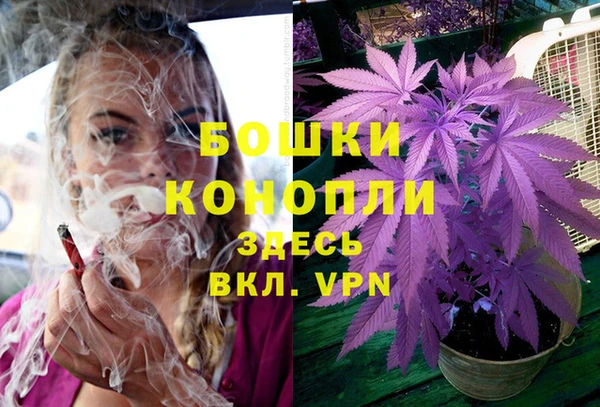 ПСИЛОЦИБИНОВЫЕ ГРИБЫ Сосновка